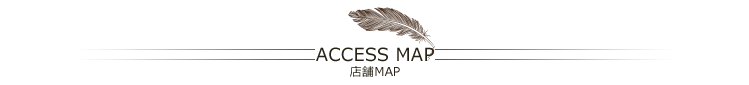 ACCESS MAP